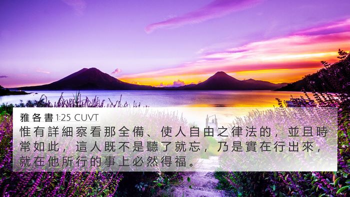 雅 各 書 1:25 CUVT Bible Verse Image