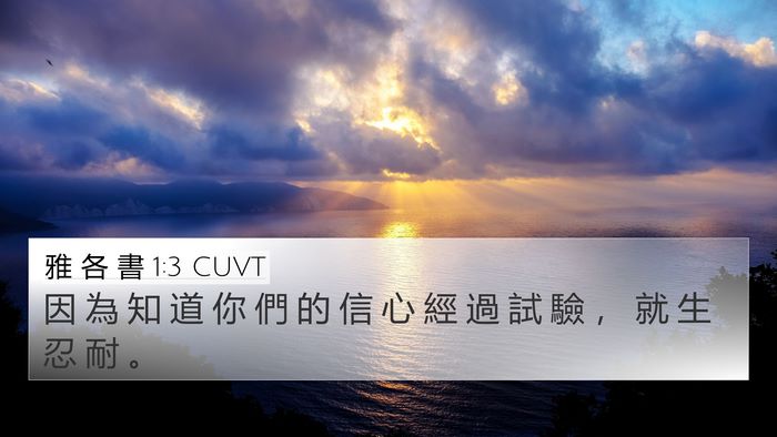 雅 各 書 1:3 CUVT Bible Verse Image