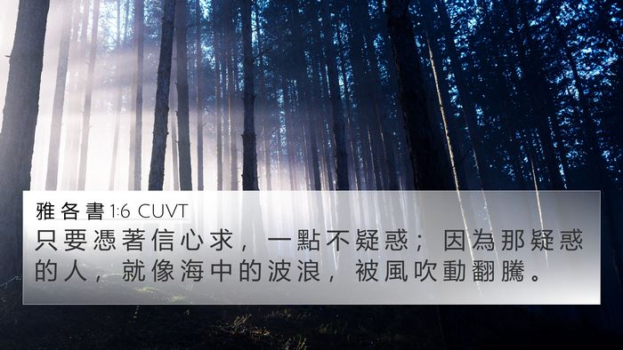雅 各 書 1:6 CUVT Bible Verse Image