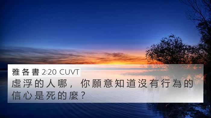 雅 各 書 2:20 CUVT Bible Verse Image
