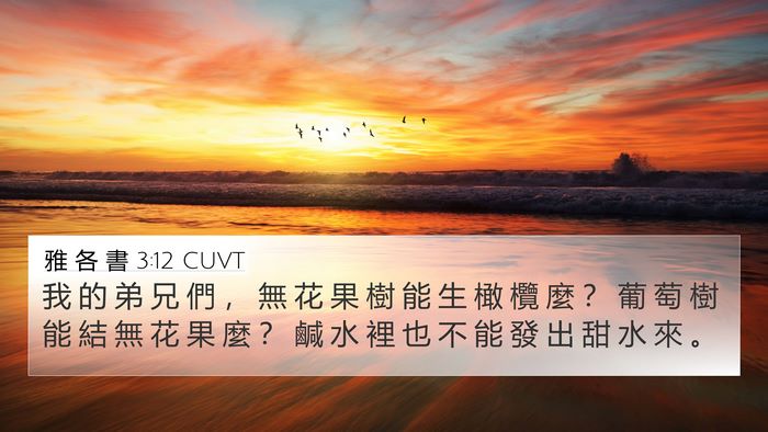 雅 各 書 3:12 CUVT Bible Verse Image