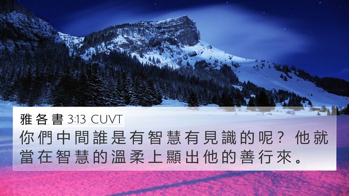 雅 各 書 3:13 CUVT Bible Verse Image