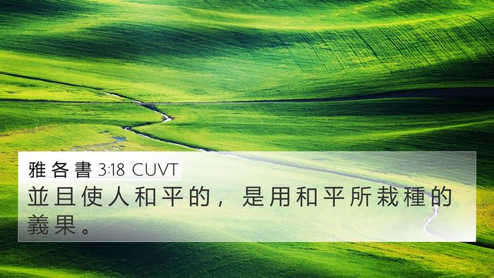 雅 各 書 3:18 CUVT Bible Verse Image
