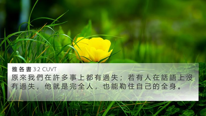 雅 各 書 3:2 CUVT Bible Verse Image