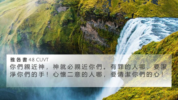 雅 各 書 4:8 CUVT Bible Verse Image