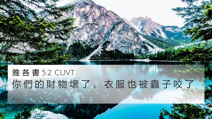 雅 各 書 5:2 CUVT Bible Verse Image