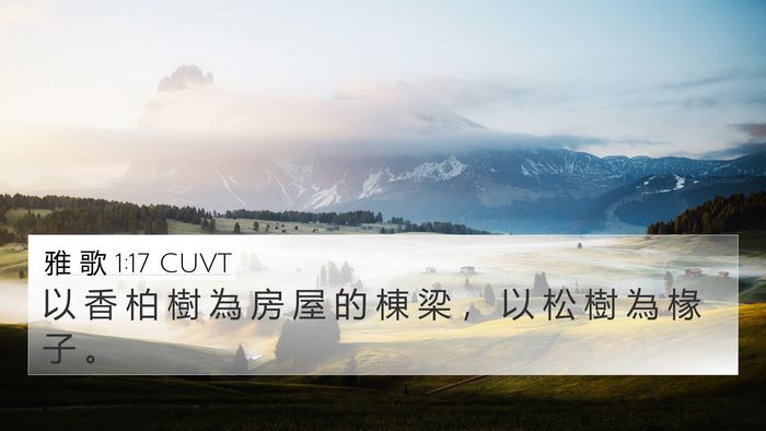 雅 歌 1:17 CUVT 4K Wallpaper - 以 香 柏 樹 為 房 屋 的 棟 梁 ， 以 - 4K Wallpaper Bible Verse