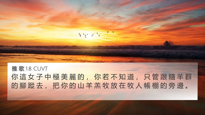 雅 歌 1:8 CUVT 4K Wallpaper - 你 這 女 子 中 極 美 麗 的 ， 你 若 - 4K Wallpaper Bible Verse
