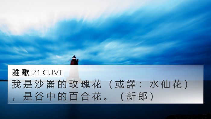 雅 歌 2:1 CUVT Bible Verse Image