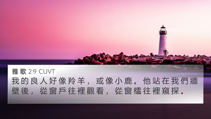 雅 歌 2:9 CUVT Bible Verse Image