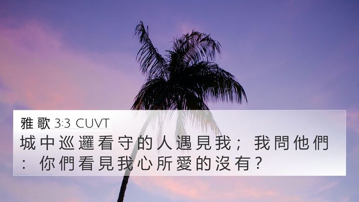 雅 歌 3:3 CUVT 4K Wallpaper - 城 中 巡 邏 看 守 的 人 遇 見 我 ； - 4K Wallpaper Bible Verse