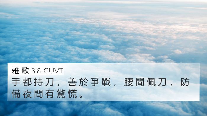 雅 歌 3:8 CUVT 4K Wallpaper - 手 都 持 刀 ， 善 於 爭 戰 ， 腰 間 - 4K Wallpaper Bible Verse