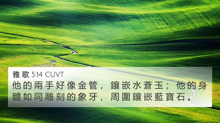 雅 歌 5:14 CUVT Bible Verse Image