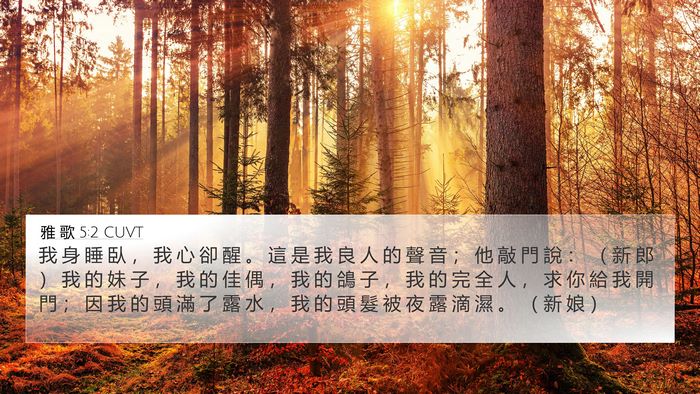 雅 歌 5:2 CUVT Bible Verse Image