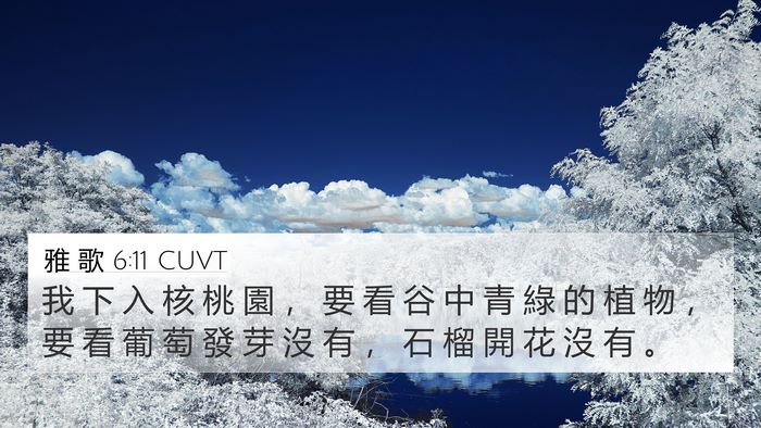 雅 歌 6:11 CUVT Bible Verse Image