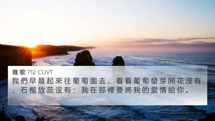 雅 歌 7:12 CUVT Bible Verse Image