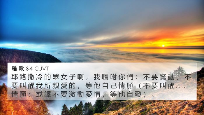 雅 歌 8:4 CUVT Bible Verse Image