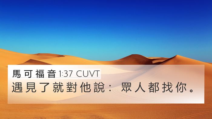 馬 可 福 音 1:37 CUVT 4K Wallpaper - 遇 見 了 就 對 他 說 ： 眾 人 都 找 - 4K Wallpaper Bible Verse