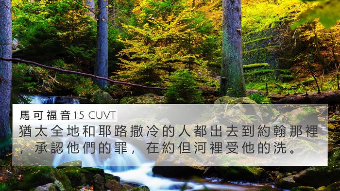 馬 可 福 音 1:5 CUVT 4K Wallpaper - 猶 太 全 地 和 耶 路 撒 冷 的 人 都 - 4K Wallpaper Bible Verse