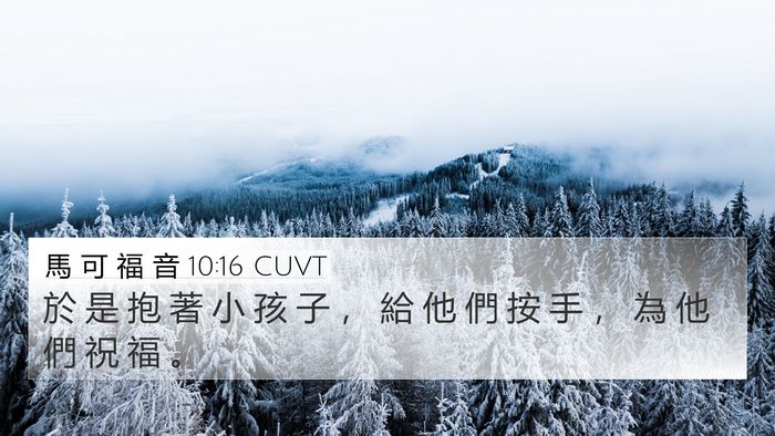 馬 可 福 音 10:16 CUVT Bible Verse Image