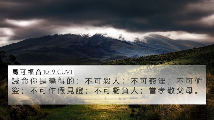 馬 可 福 音 10:19 CUVT Bible Verse Image