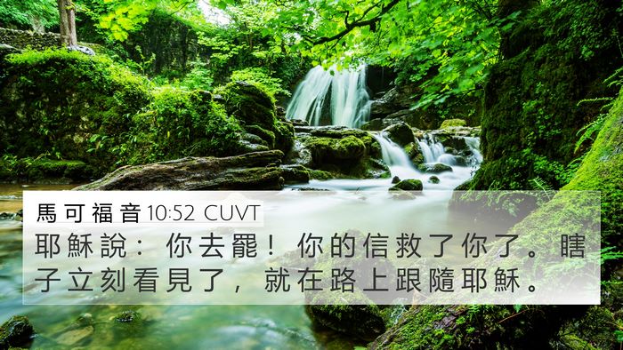 馬 可 福 音 10:52 CUVT Bible Verse Image