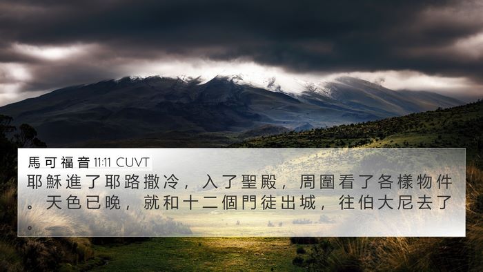 馬 可 福 音 11:11 CUVT Bible Verse Image