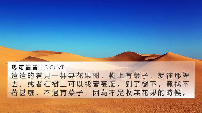 馬 可 福 音 11:13 CUVT Bible Verse Image
