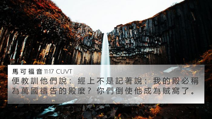 馬 可 福 音 11:17 CUVT Bible Verse Image
