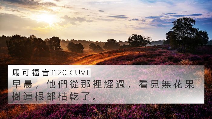 馬 可 福 音 11:20 CUVT Bible Verse Image