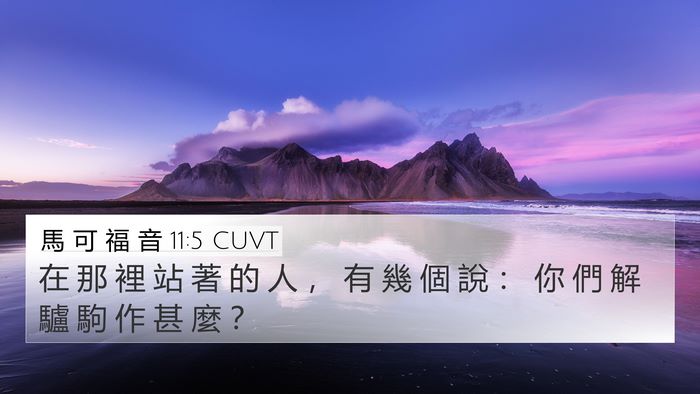 馬 可 福 音 11:5 CUVT 4K Wallpaper - 在 那 裡 站 著 的 人 ， 有 幾 個 說 - 4K Wallpaper Bible Verse