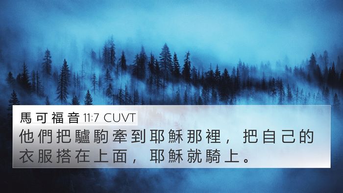 馬 可 福 音 11:7 CUVT Bible Verse Image