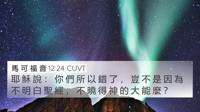 馬 可 福 音 12:24 CUVT Bible Verse Image