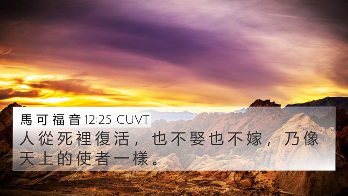 馬 可 福 音 12:25 CUVT 4K Wallpaper - 人 從 死 裡 復 活 ， 也 不 娶 也 不 - 4K Wallpaper Bible Verse