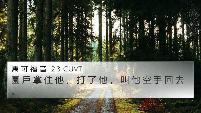 馬 可 福 音 12:3 CUVT 4K Wallpaper - 園 戶 拿 住 他 ， 打 了 他 ， 叫 他 - 4K Wallpaper Bible Verse