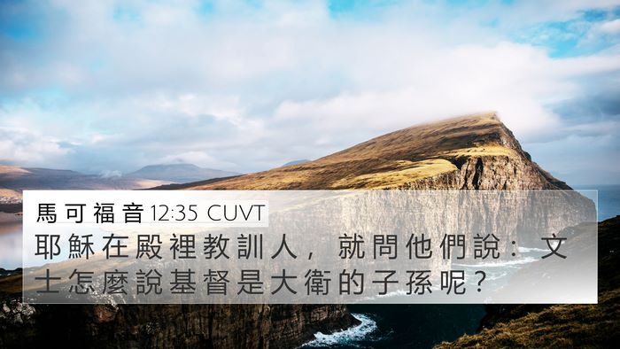 馬 可 福 音 12:35 CUVT 4K Wallpaper - 耶 穌 在 殿 裡 教 訓 人 ， 就 問 他 - 4K Wallpaper Bible Verse