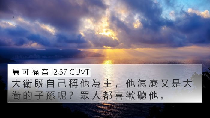 馬 可 福 音 12:37 CUVT Bible Verse Image