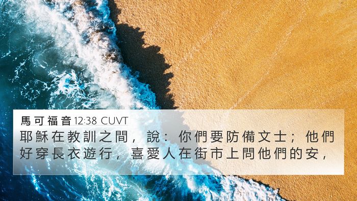 馬 可 福 音 12:38 CUVT Bible Verse Image