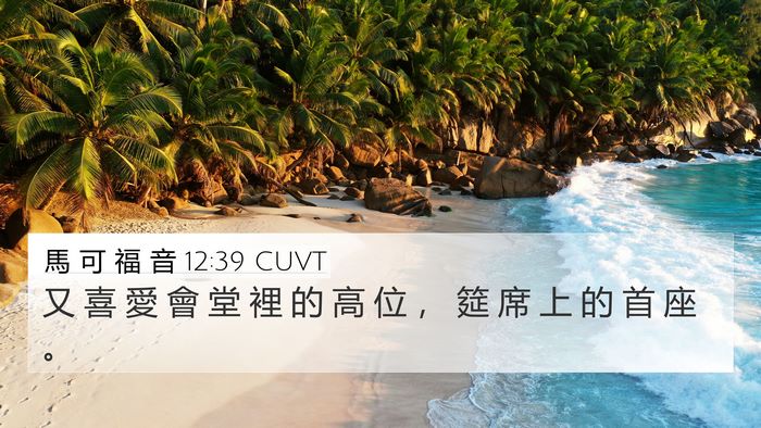 馬 可 福 音 12:39 CUVT 4K Wallpaper - 又 喜 愛 會 堂 裡 的 高 位 ， 筵 席 - 4K Wallpaper Bible Verse