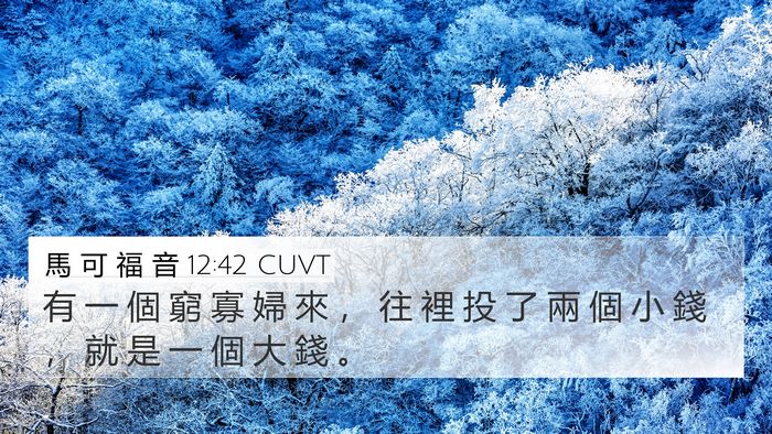 馬 可 福 音 12:42 CUVT Bible Verse Image