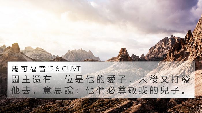馬 可 福 音 12:6 CUVT Bible Verse Image