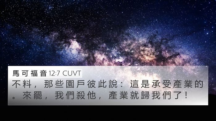 馬 可 福 音 12:7 CUVT 4K Wallpaper - 不 料 ， 那 些 園 戶 彼 此 說 ： 這 - 4K Wallpaper Bible Verse