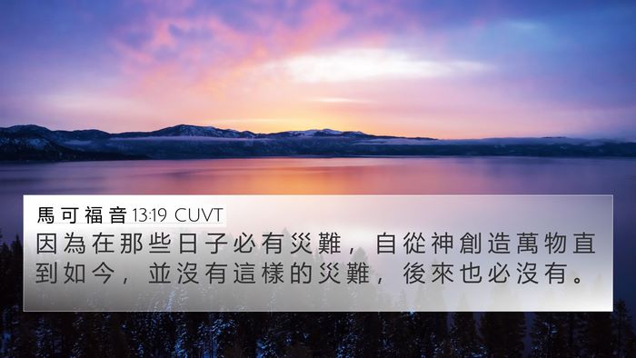 馬 可 福 音 13:19 CUVT Bible Verse Image