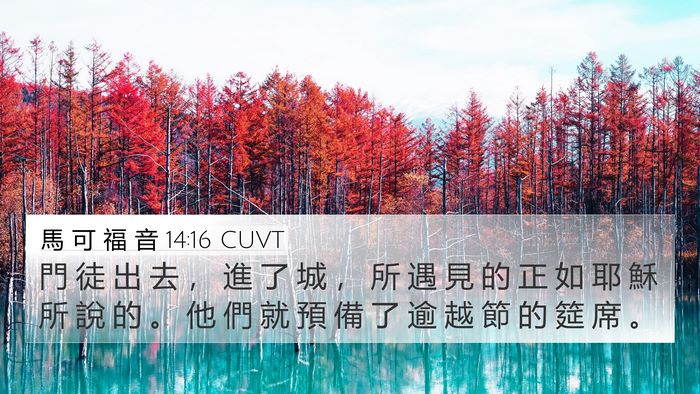 馬 可 福 音 14:16 CUVT 4K Wallpaper - 門 徒 出 去 ， 進 了 城 ， 所 遇 見 - 4K Wallpaper Bible Verse