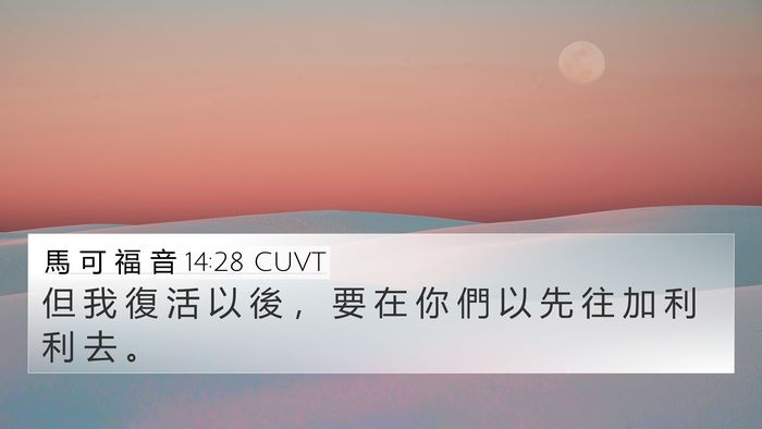 馬 可 福 音 14:28 CUVT Bible Verse Image