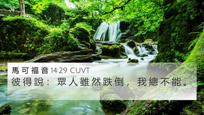 馬 可 福 音 14:29 CUVT Bible Verse Image