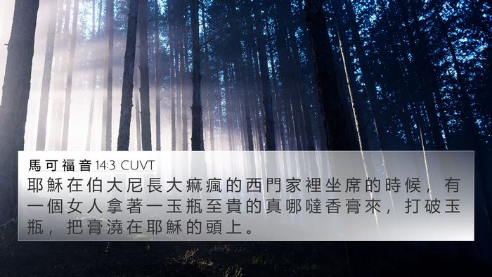 馬 可 福 音 14:3 CUVT Bible Verse Image