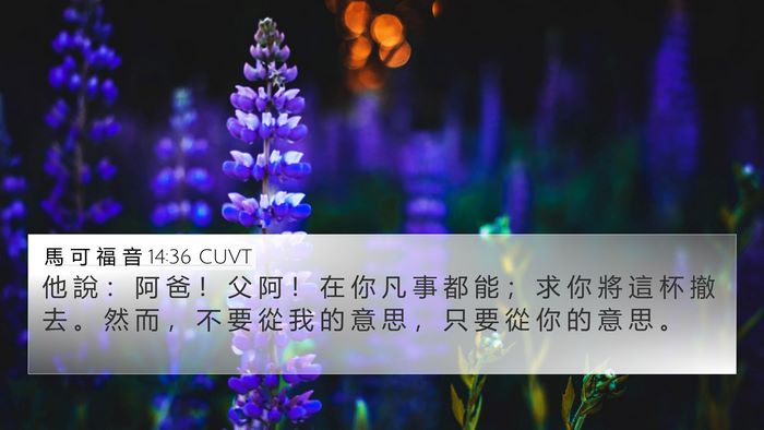馬 可 福 音 14:36 CUVT 4K Wallpaper - 他 說 ： 阿 爸 ！ 父 阿 ！ 在 你 凡 - 4K Wallpaper Bible Verse