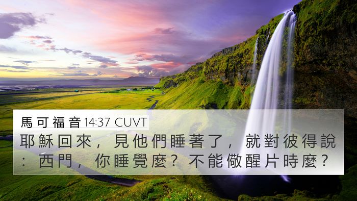 馬 可 福 音 14:37 CUVT Bible Verse Image