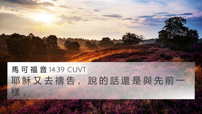 馬 可 福 音 14:39 CUVT Bible Verse Image